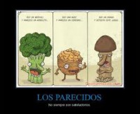 /album/cotilleos-siempre-/fufufu-jpg/